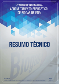 relatorio tecnico 4o workshop