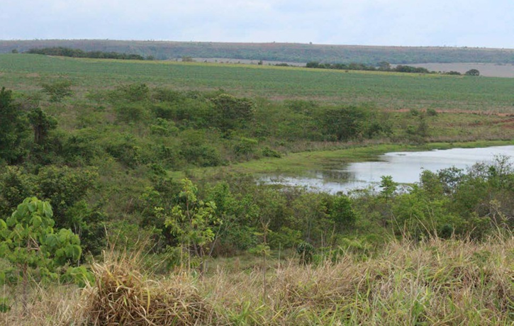 nascente araguaia go